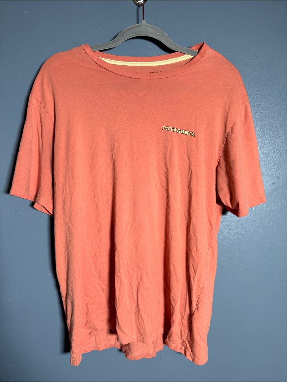 Patagonia Men’s Salmon coral T Shirt Organic Cotton Size Medium Short Sleeve